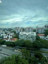 Leedon 2 (D10), Condominium #566711711